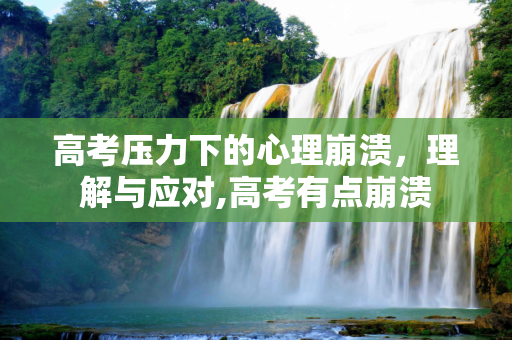 高考压力下的心理崩溃，理解与应对,高考有点崩溃