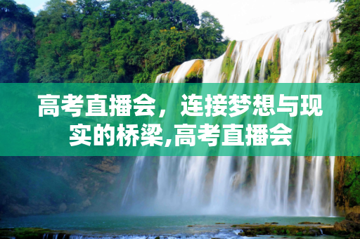 高考直播会，连接梦想与现实的桥梁,高考直播会