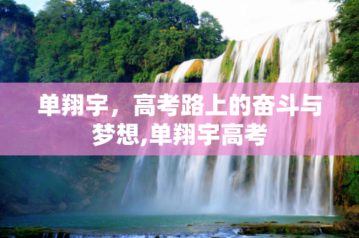 单翔宇，高考路上的奋斗与梦想,单翔宇高考