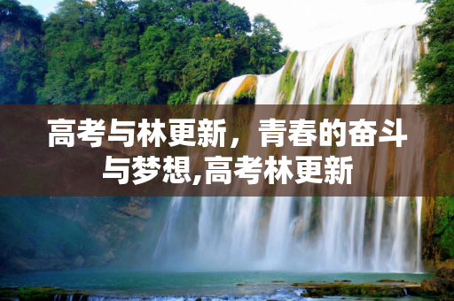 高考与林更新，青春的奋斗与梦想,高考林更新