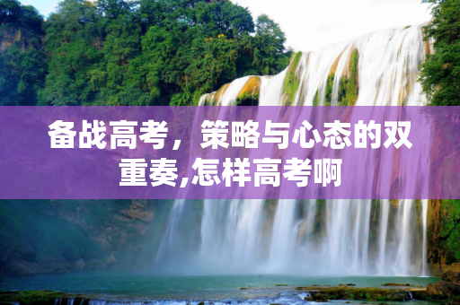 备战高考，策略与心态的双重奏,怎样高考啊