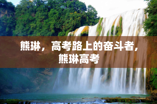 熊琳，高考路上的奋斗者,熊琳高考
