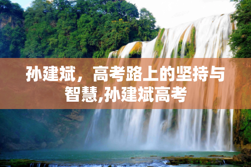 孙建斌，高考路上的坚持与智慧,孙建斌高考
