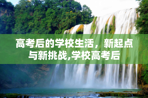 高考后的学校生活，新起点与新挑战,学校高考后