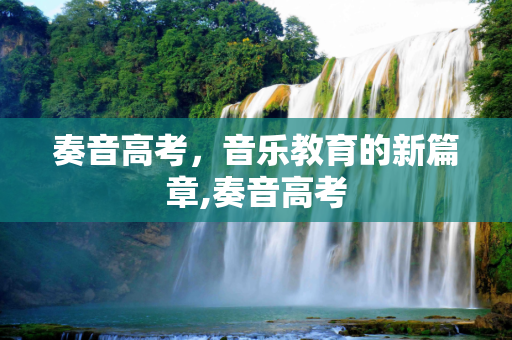 奏音高考，音乐教育的新篇章,奏音高考