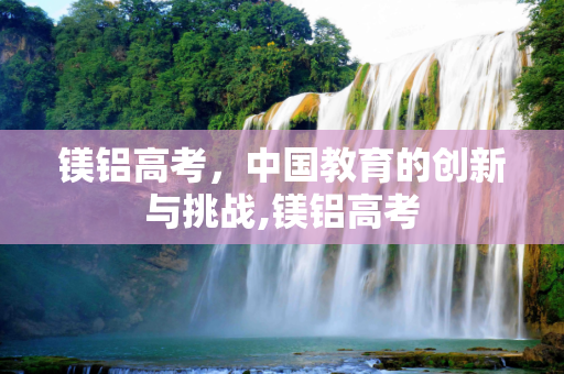 镁铝高考，中国教育的创新与挑战,镁铝高考