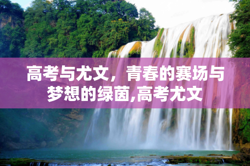高考与尤文，青春的赛场与梦想的绿茵,高考尤文