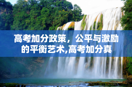高考加分政策，公平与激励的平衡艺术,高考加分真