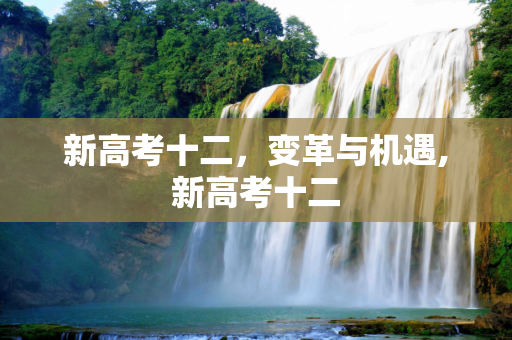 新高考十二，变革与机遇,新高考十二