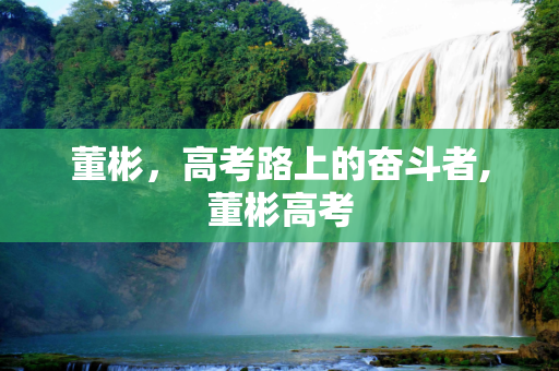 董彬，高考路上的奋斗者,董彬高考
