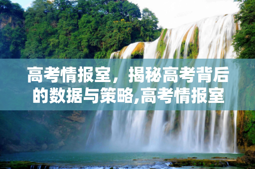 高考情报室，揭秘高考背后的数据与策略,高考情报室