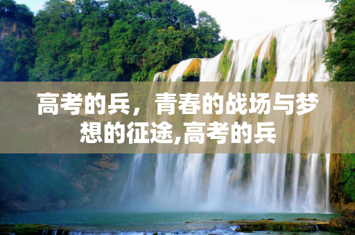 高考的兵，青春的战场与梦想的征途,高考的兵