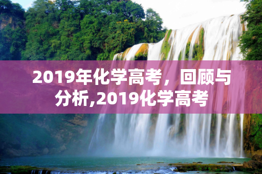 2019年化学高考，回顾与分析,2019化学高考