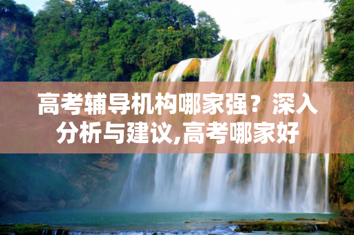 高考辅导机构哪家强？深入分析与建议,高考哪家好