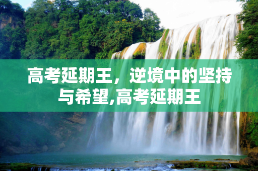 高考延期王，逆境中的坚持与希望,高考延期王
