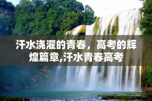 汗水浇灌的青春，高考的辉煌篇章,汗水青春高考