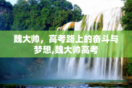 魏大帅，高考路上的奋斗与梦想,魏大帅高考
