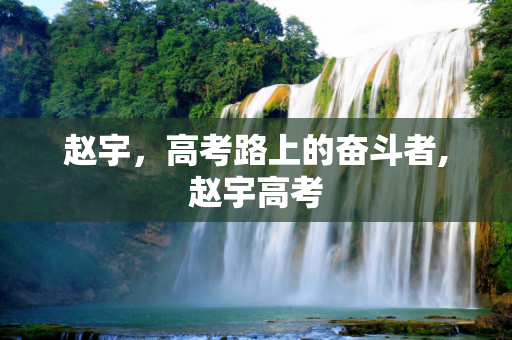 赵宇，高考路上的奋斗者,赵宇高考