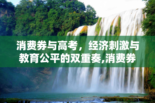 消费券与高考，经济刺激与教育公平的双重奏,消费券高考