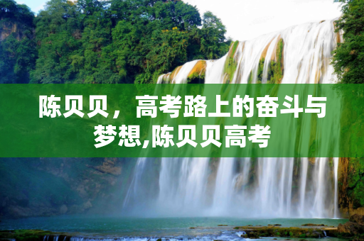 陈贝贝，高考路上的奋斗与梦想,陈贝贝高考