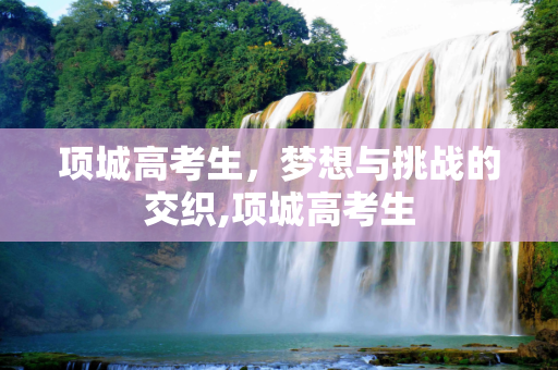 项城高考生，梦想与挑战的交织,项城高考生