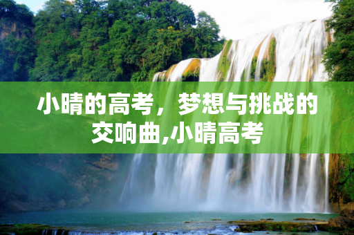 小晴的高考，梦想与挑战的交响曲,小晴高考