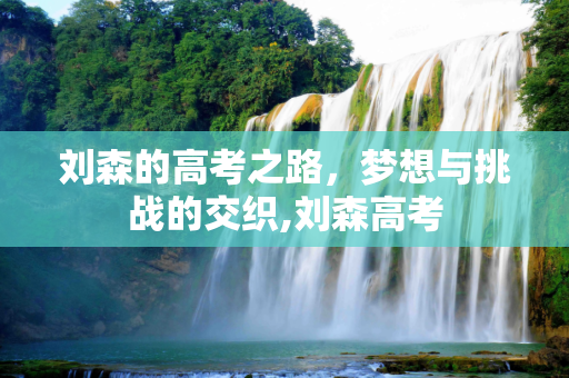 刘森的高考之路，梦想与挑战的交织,刘森高考