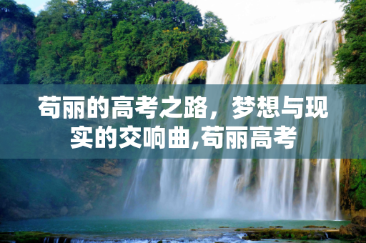 苟丽的高考之路，梦想与现实的交响曲,苟丽高考