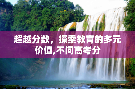 超越分数，探索教育的多元价值,不问高考分