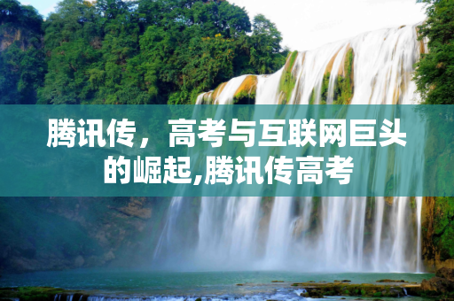 腾讯传，高考与互联网巨头的崛起,腾讯传高考