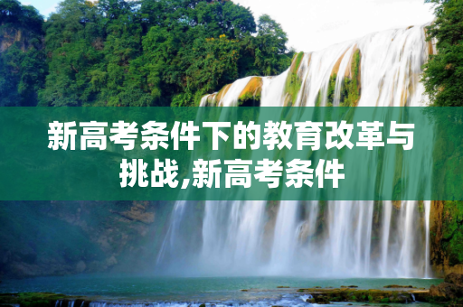 新高考条件下的教育改革与挑战,新高考条件