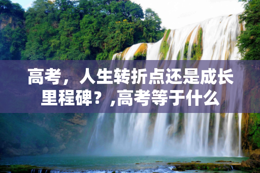 高考，人生转折点还是成长里程碑？,高考等于什么