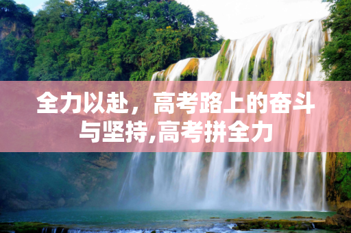全力以赴，高考路上的奋斗与坚持,高考拼全力