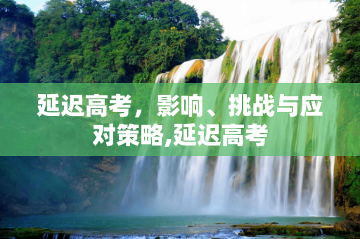 延迟高考，影响、挑战与应对策略,延迟高考