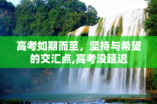 高考如期而至，坚持与希望的交汇点,高考没延迟