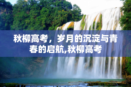 秋柳高考，岁月的沉淀与青春的启航,秋柳高考