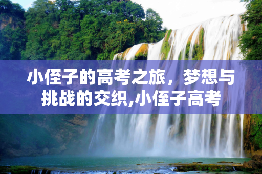 小侄子的高考之旅，梦想与挑战的交织,小侄子高考