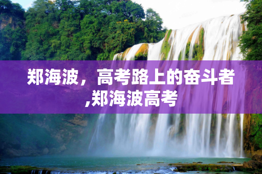 郑海波，高考路上的奋斗者,郑海波高考