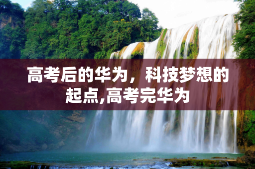 高考后的华为，科技梦想的起点,高考完华为