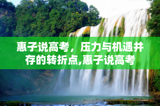 惠子说高考，压力与机遇并存的转折点,惠子说高考