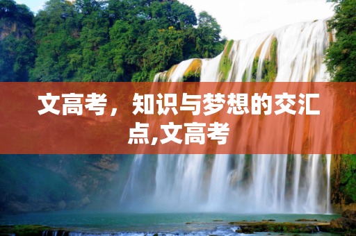 文高考，知识与梦想的交汇点,文高考