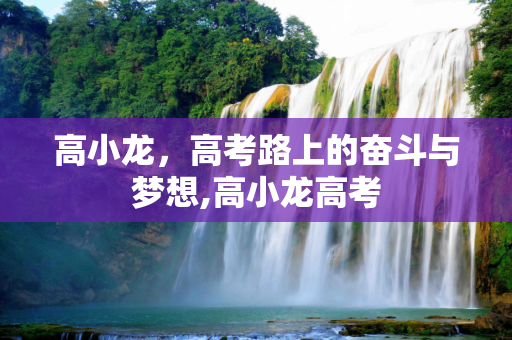 高小龙，高考路上的奋斗与梦想,高小龙高考