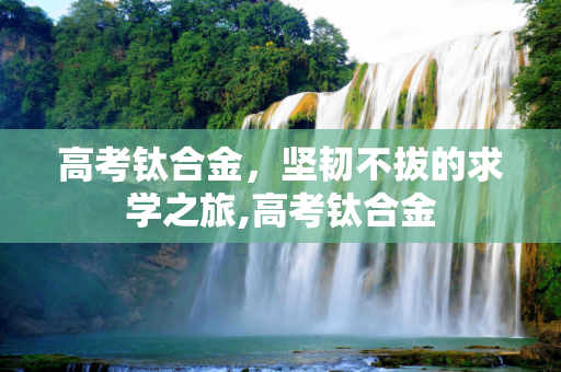 高考钛合金，坚韧不拔的求学之旅,高考钛合金