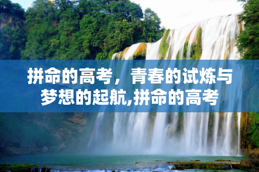 拼命的高考，青春的试炼与梦想的起航,拼命的高考