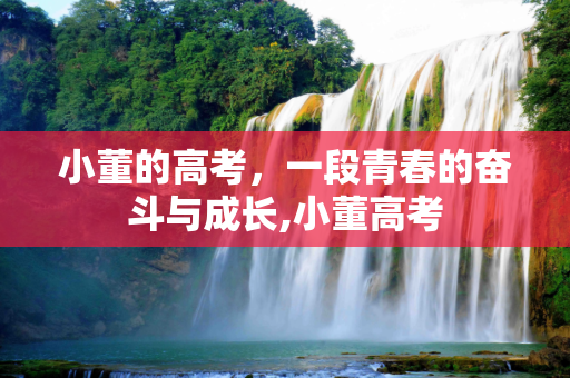 小董的高考，一段青春的奋斗与成长,小董高考
