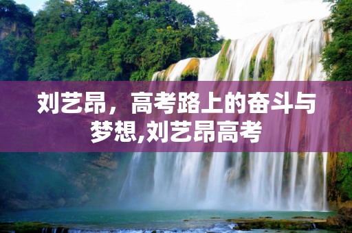 刘艺昂，高考路上的奋斗与梦想,刘艺昂高考