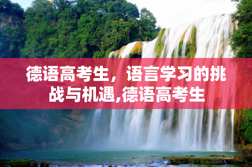 德语高考生，语言学习的挑战与机遇,德语高考生