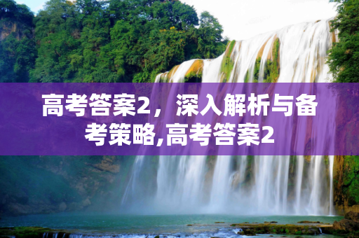高考答案2，深入解析与备考策略,高考答案2
