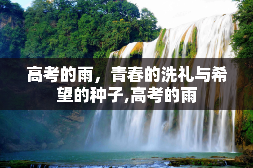 高考的雨，青春的洗礼与希望的种子,高考的雨