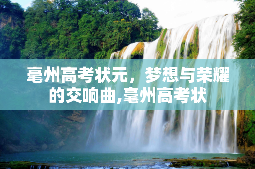 毫州高考状元，梦想与荣耀的交响曲,毫州高考状